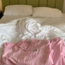 스테이 안도감 제주 이미지