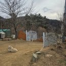 기성펜션 | [내돈내산 추천]대구 팔공산 펜션 &#39;팔공포레스트&#39; 핫플레이스 독채펜션 갔다 온 후기