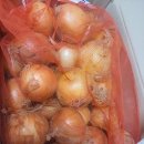 딱딱하게 뭉쳐있는 양파^^ 이미지