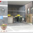 비즈트위트 레인보우 이미지