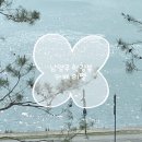조쿤과일 | 남양주 아기와 함께 가기좋은 한강뷰 카페 빵맛집 팔당댐 리펠 - 기갈대 있음