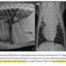 개와 고양이에서 mediastinal mass와 pulmonary mass 감별의 어려움 이미지