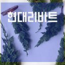 토탈인테리어부엌가구 이미지