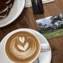 외계인양꼬치 | 나의 2월