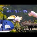 백학 이미지