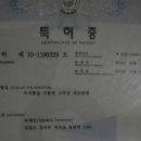 토종산야초