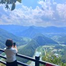 아리힐스(짚와이어) | 병방치 스카이워크 &amp; 짚와이어 후기 가격,시간,꽃밭 포토존