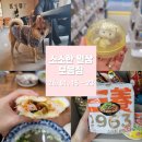 동남(풍세)-22-01 | 일상 모음집: 더핫열라면 우지삼양라면 후기 아산시골카페 불당동 가챠샵 카페 천안 매운돈까스 반미...