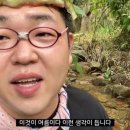 삼촌네마트센터 | 2025년은 완도 방문의 해…! 대가족 전남 완도-보성-순천 여행 후기
