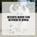 명성렌트카 | 완벽한 여행의 시작, 대전렌트카 이용 꿀팁과 생생한 후기 공개해요!