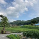 금마면 인흥마을회관 이미지