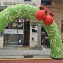 양재목련 이미지