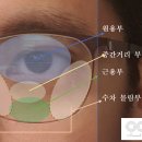 모먼트아이안경원 이미지