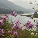 흙집세상 이미지