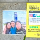 바닷가 하얀목화밭 이미지