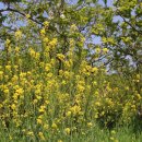 망상힐링펜션 이미지