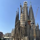 운장산갈거리민박 | 🇪🇸 바르셀로나 숙소 추천ㅣ사그라다 파밀리아 성당 도보 2분 한인민박 로꼬민박 (내돈내산)