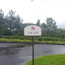 에코랜드(대중형 27홀) | 제주도 골프장 부영cc 라운딩 후기