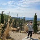 풀스테이 또바기 이미지