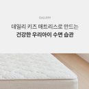 성북강북키즈 이미지