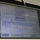 푸른숲농원