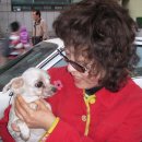 송아지다방 - 미추홀구 | 송아지다방