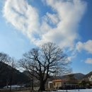 백봉초등학교 이미지