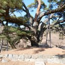 별묘3 | 합천 화양리 소나무, 박소 신도비, 육우당, 묵와고택, 봉서정과 도촌별묘