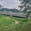 대전둘레산길(11구간) 이미지