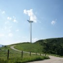 월드컵목장 이미지