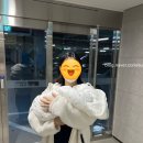 미숙아 신생아 중환자실 (NICU) 24일 입원 기록과 입원비 후기