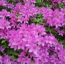 아름다운네일 이미지