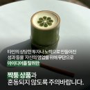 담양제과