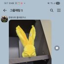 녹색지대홈케어