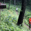 4월 16일 수요산행 - 대부도 해솔길 트레킹 안내 및 신청하기 이미지