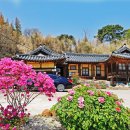 양양조규승가옥 이미지