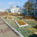 망월천_호수공원3 네이버블로그