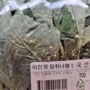 이월호텔 성서점 | 나와 1월과 흰 서울생활 - 2