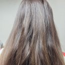 헤어폼헤어 | 올리브영 추천 파이브센스 헤어오일 헤어폼 후기