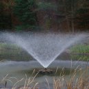 호수정감 이미지