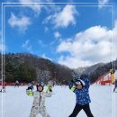 비발디스키아카데미