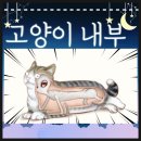 고양이는외계인 네이버블로그