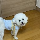 권삼식 네이버블로그