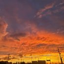 짝 스크린골프 이미지