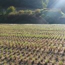 굴암리공중화장실 이미지