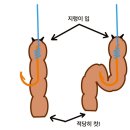시흥드림바다 낚시터 이미지