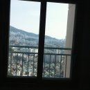 동일스윗트 이미지