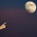 박상준의원 이미지