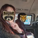 케이지모빌리티제주서비스센터㈜ | 제주도 제이바이시클(JBICYCLE) 자전거 대여 트위터 카본 로드 1일 2만원 내돈내산 추천후기