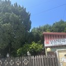 [솔직후기] 하이원근처 막국수 맛집 “강산막국수”